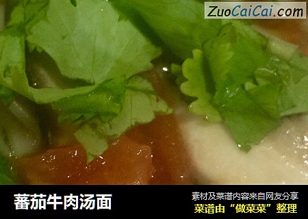 蕃茄牛肉汤面