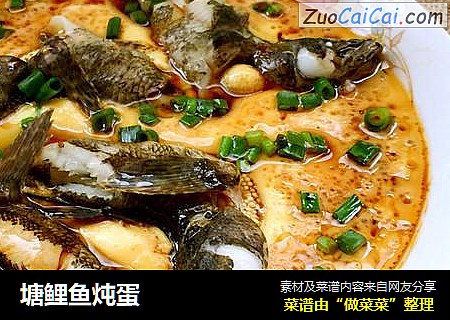 塘鲤鱼炖蛋