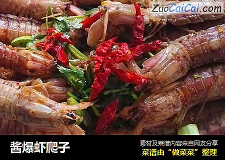 酱爆虾爬子