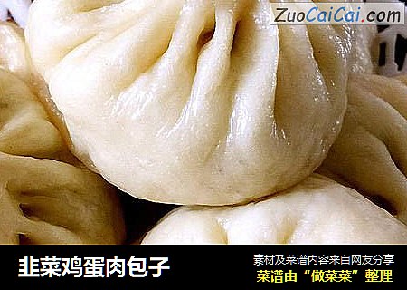 韭菜鸡蛋肉包子