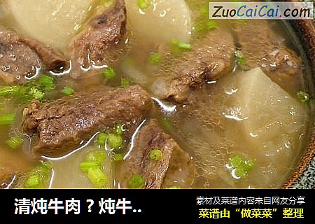 清炖牛肉 ? 炖牛肉 2