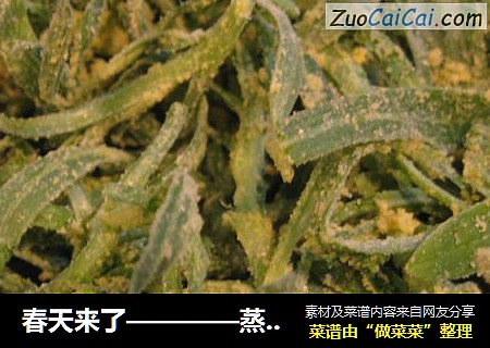 春天来了————蒸个野菜尝尝鲜