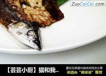 【芸芸小厨】猫和我都想了解的——秋刀鱼滋味