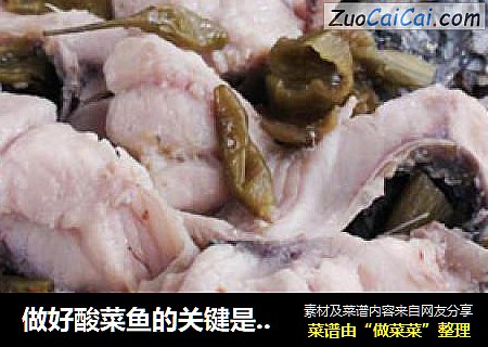 做好酸菜鱼的关键是什么—酸菜鱼
