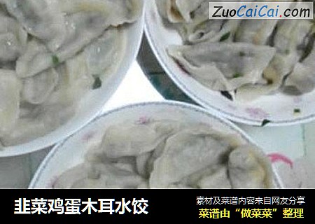 韭菜鸡蛋木耳水饺