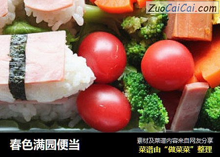 春色满园便当
