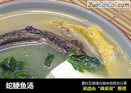 蛇鲠鱼汤