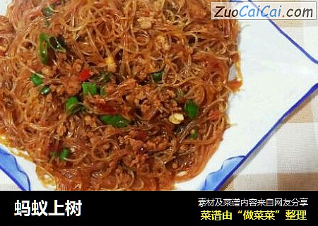 蚂蚁上树