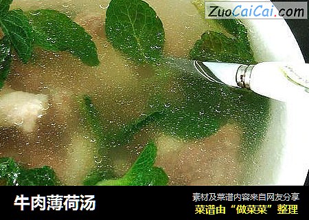 牛肉薄荷汤