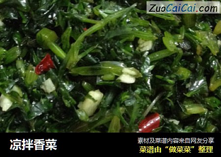 凉拌香菜