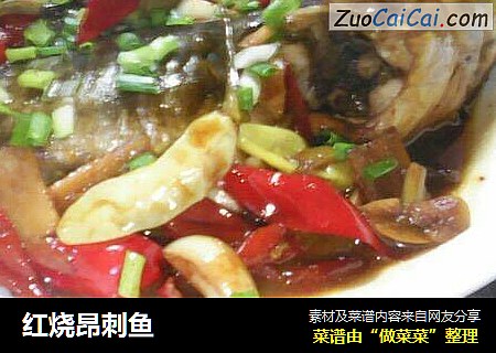 红烧昂刺鱼
