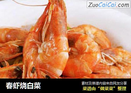 春虾烧白菜