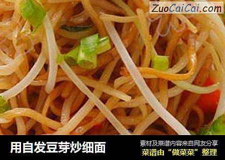 用自发豆芽炒细面