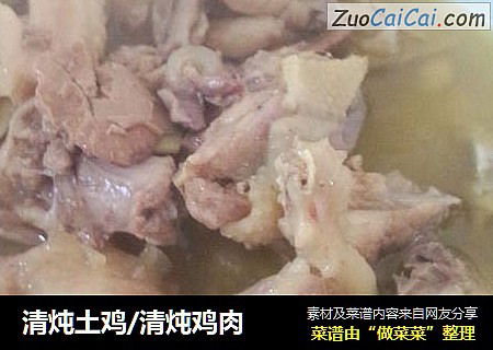 清炖土鸡/清炖鸡肉