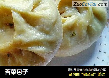 苔菜包子