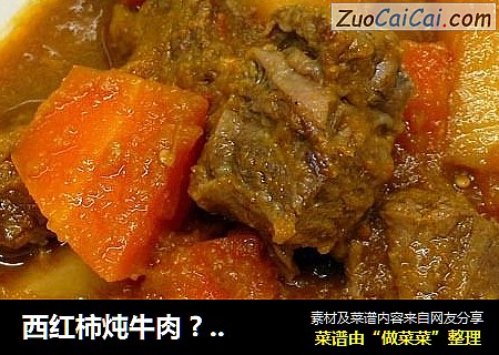 西红柿炖牛肉 ? 炖牛肉 4
