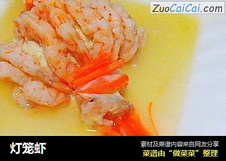 灯笼虾