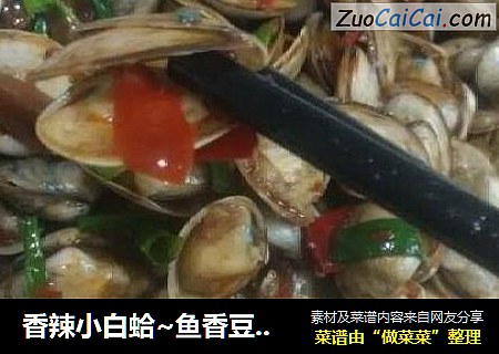 香辣小白蛤~鱼香豆豉香辣小蛤蜊