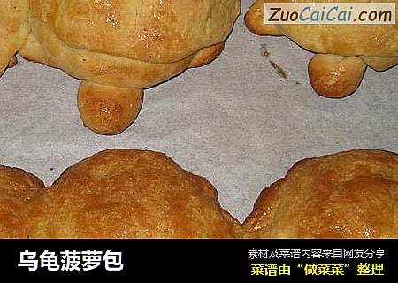 乌龟菠萝包
