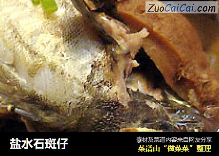 盐水石斑仔