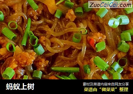 蚂蚁上树