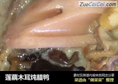莲藕木耳炖腊鸭