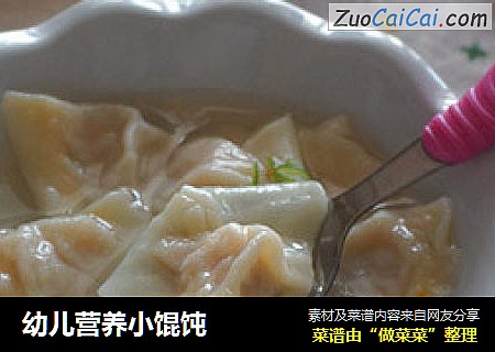 幼儿营养小馄饨