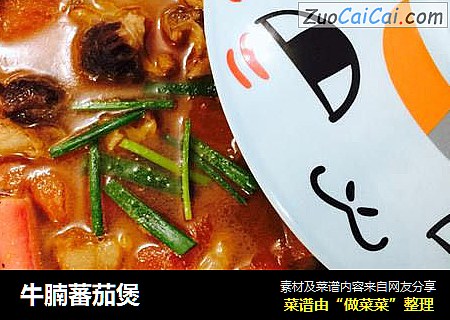 牛腩蕃茄煲