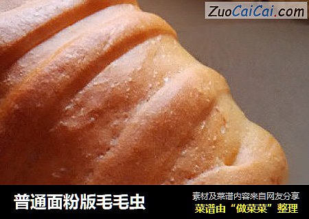 普通面粉版毛毛虫