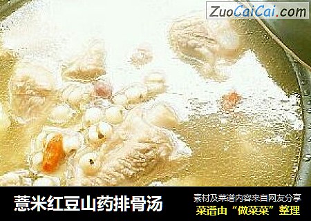 薏米红豆山药排骨汤