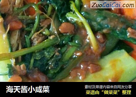 海天酱小咸菜