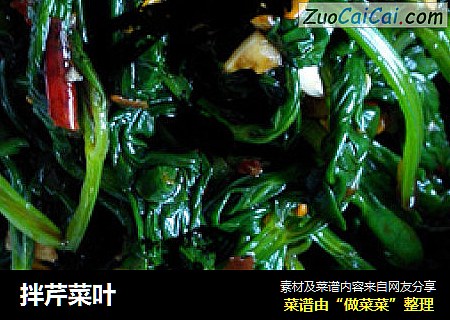 拌芹菜叶