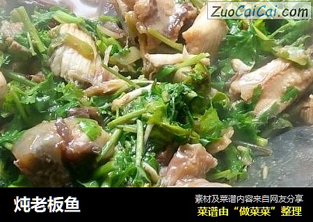 炖老板鱼