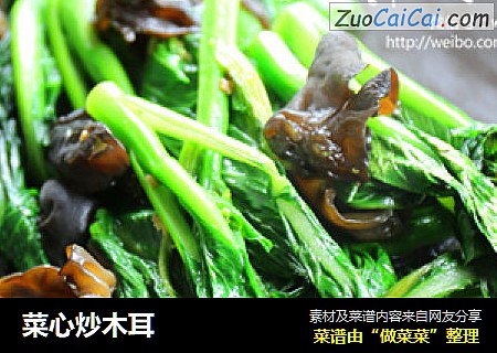 菜心炒木耳