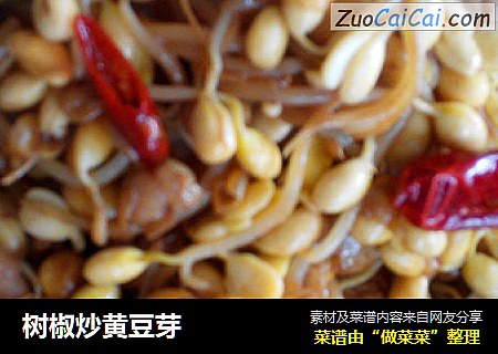 树椒炒黄豆芽