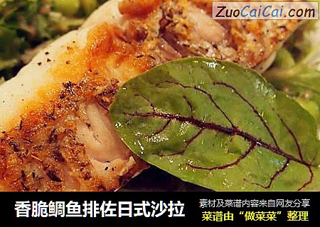 香脆鲷鱼排佐日式沙拉