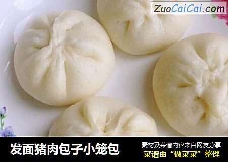 发面猪肉包子小笼包