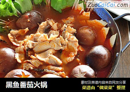 黑鱼番茄火锅