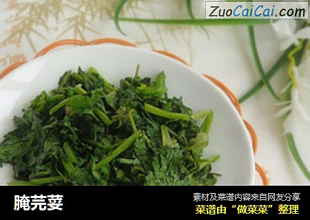 腌芫荽