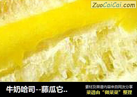 牛奶哈司--藤瓜它兄弟
