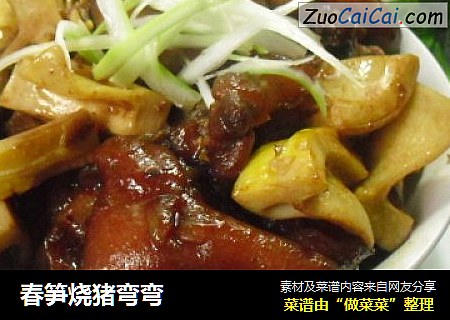 春笋烧猪弯弯