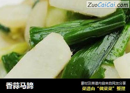 香蒜马蹄