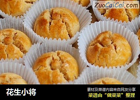 花生小将