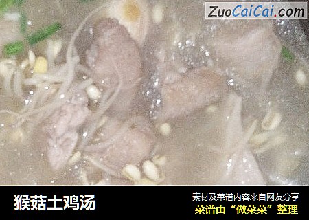 猴菇土鸡汤