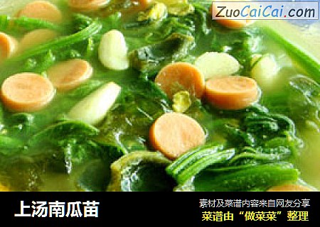 上汤南瓜苗