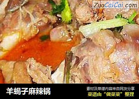 羊蝎子麻辣锅