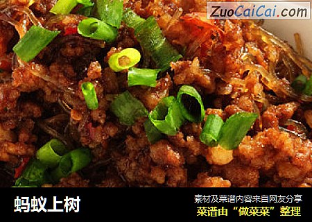 蚂蚁上树