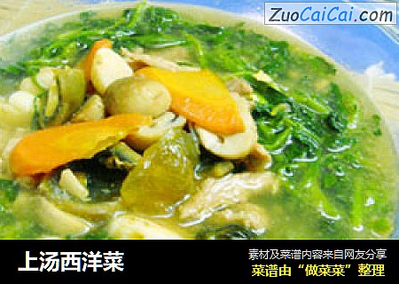 上汤西洋菜