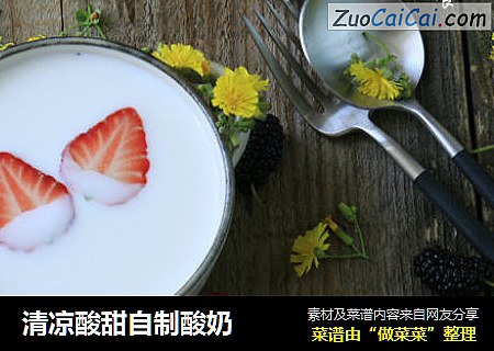 清凉酸甜自制酸奶