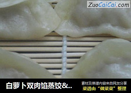 白萝卜双肉馅蒸饺&牛肉洋葱蒸饺